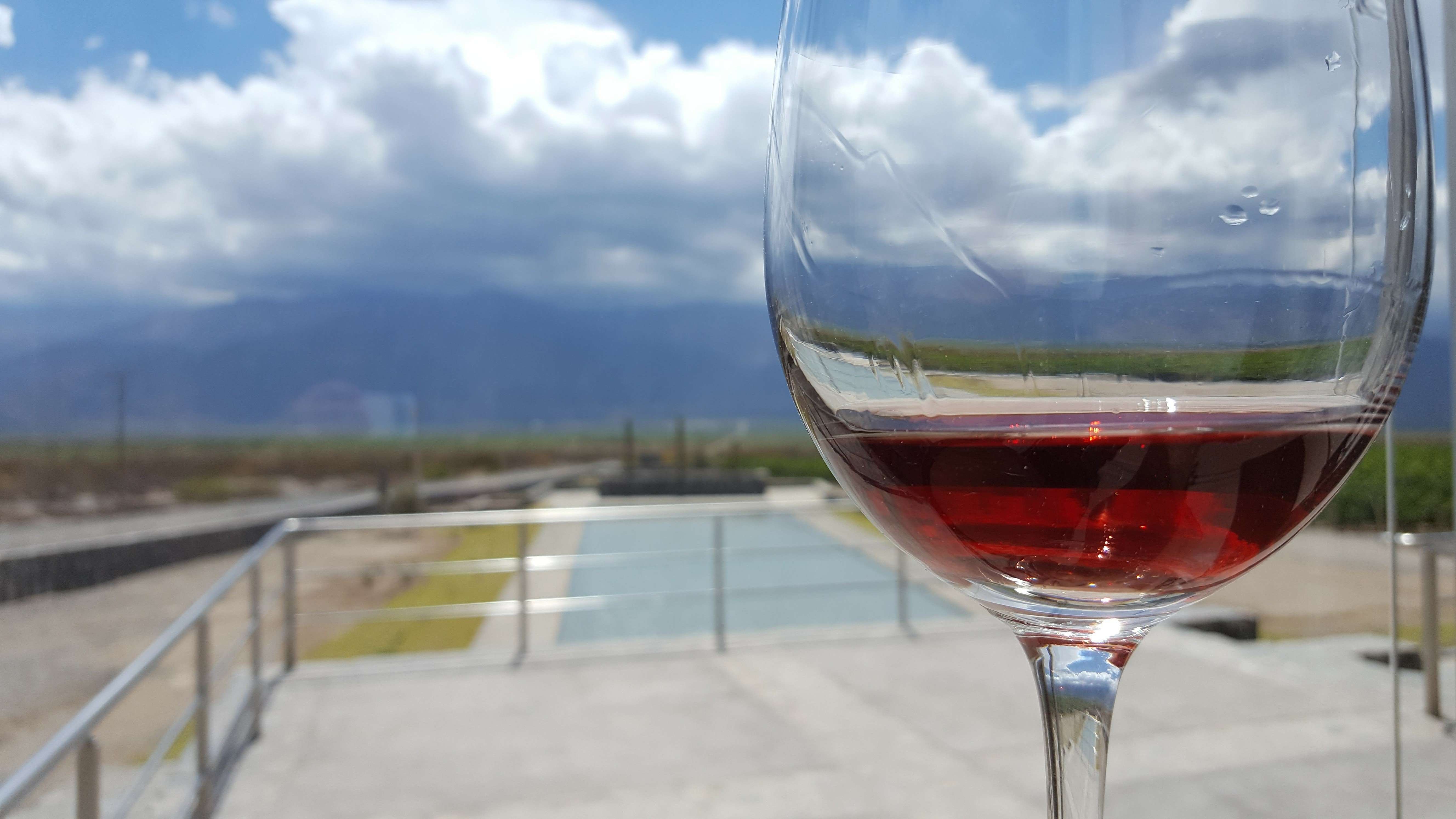 ¿Por qué escribir un blog de vinos? 11