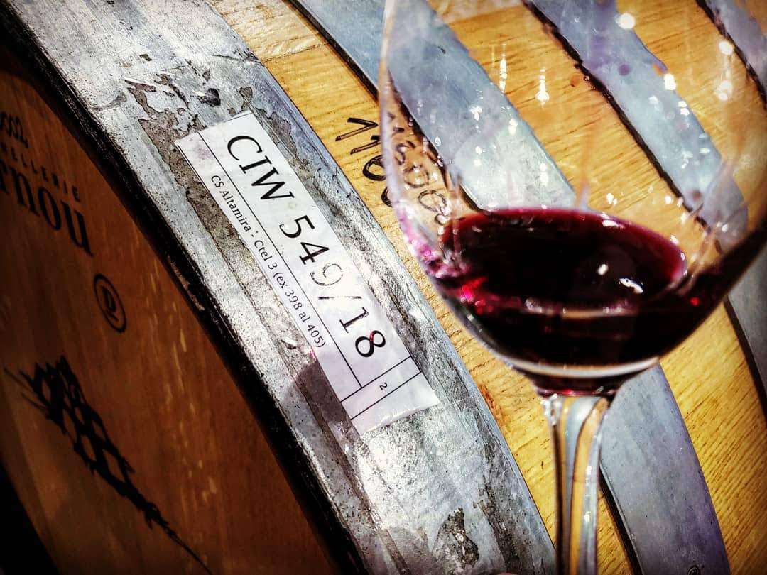 Catena Institute of Wine, la NASA de los vinos 7 Catena Institute of Wine, la NASA de los vinos 6