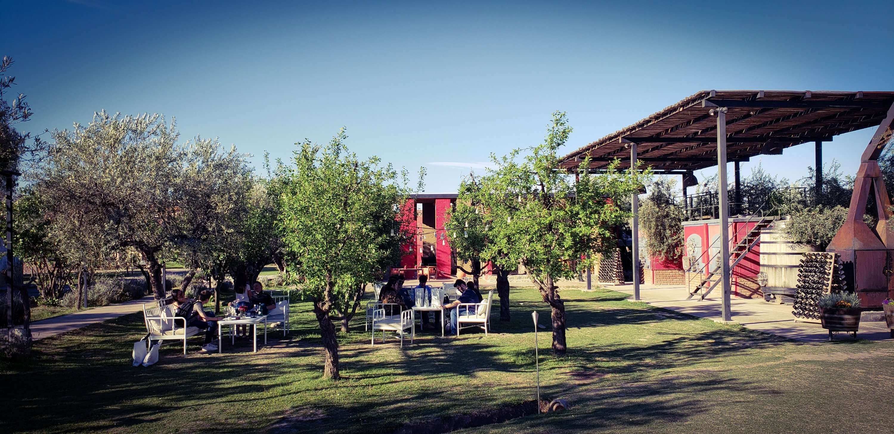 Manos Negras un tanto desquiciadas 8