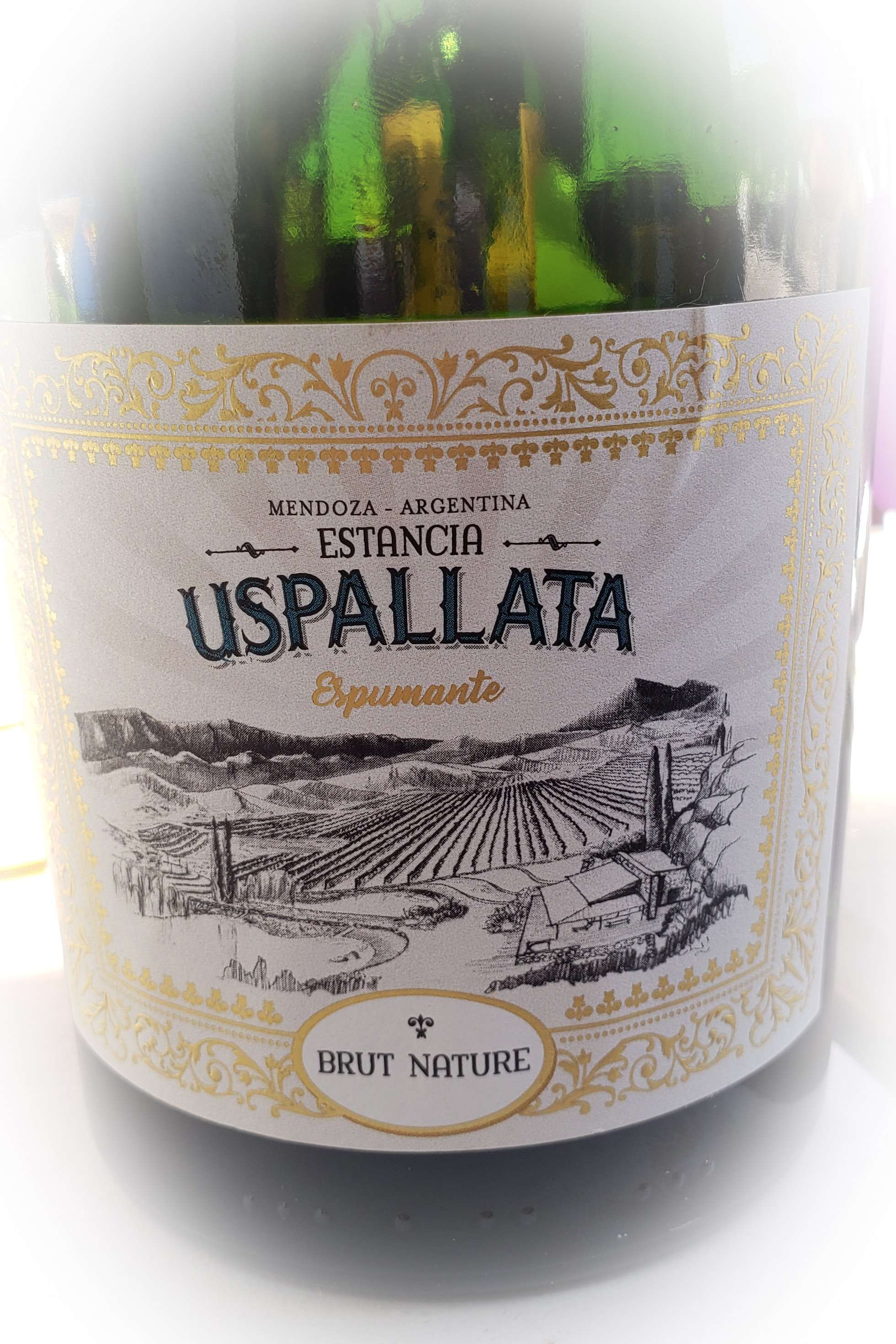 Manos Negras un tanto desquiciadas 6