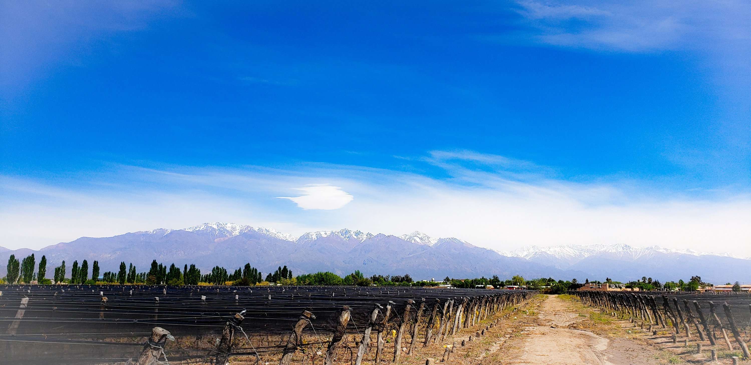 Un paseo por las nubes 6