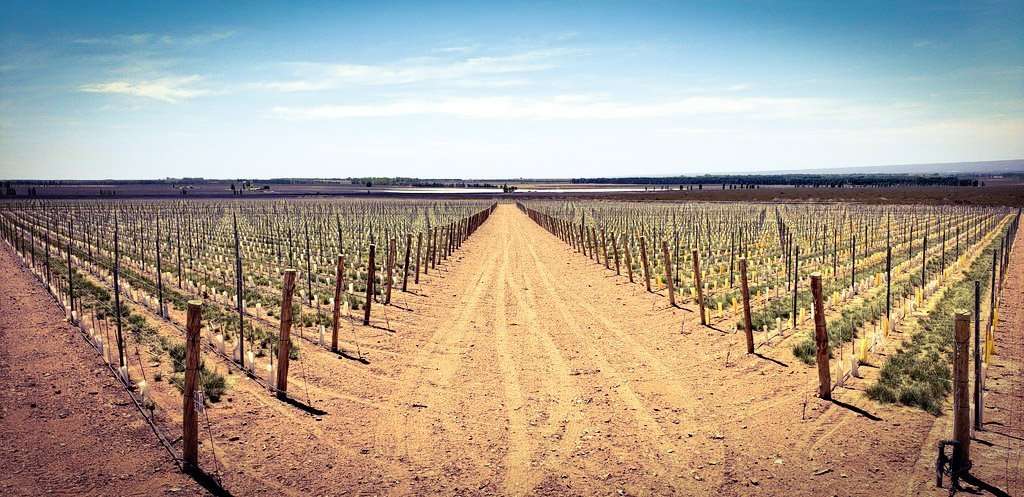 Un paseo por las nubes 1