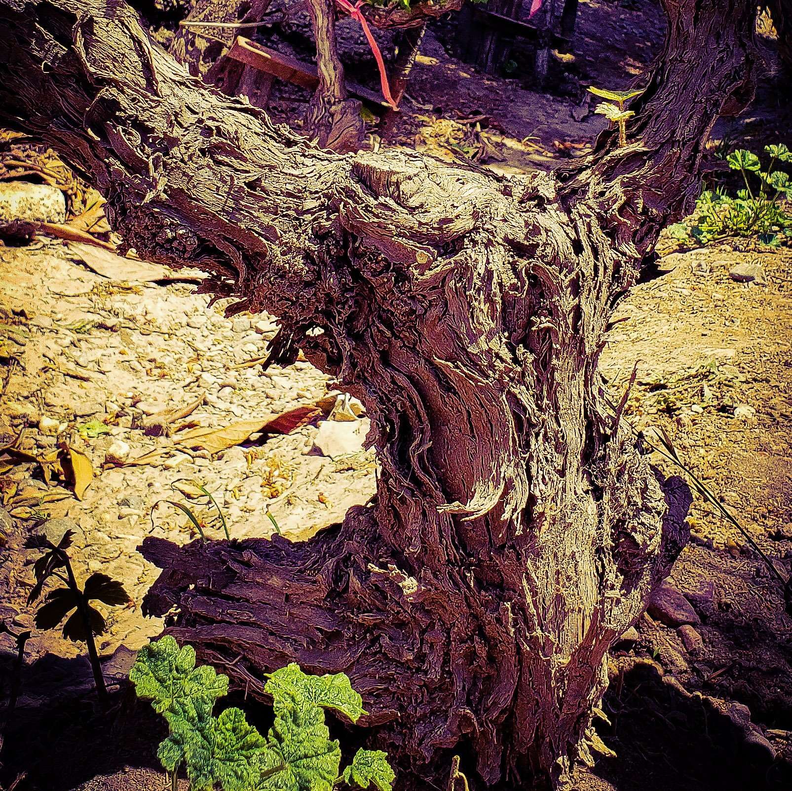 Ángeles de felicidad 2