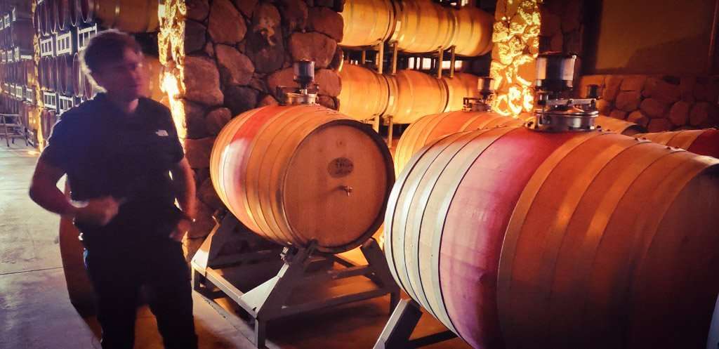 Primavera Decero 6 Primavera Decero 6