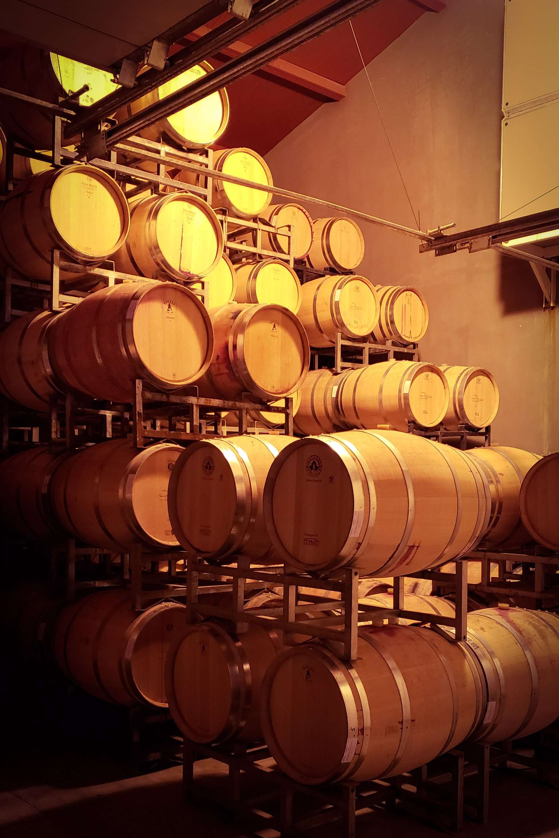 Primavera Decero 5 Primavera Decero 5