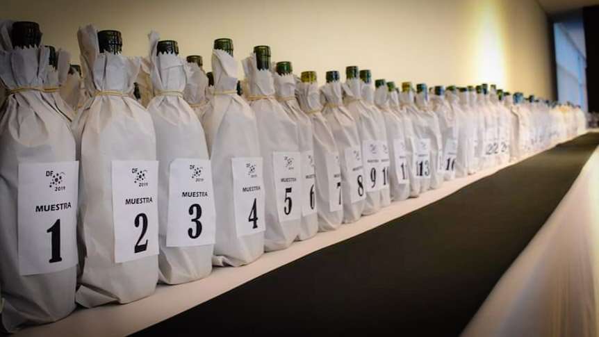 Experiencia Federal 1