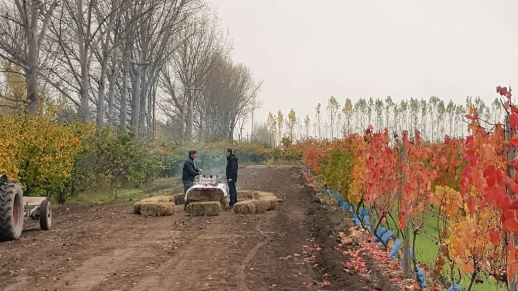 Finca La Coti, una historia de Quijotes y Vinos 1