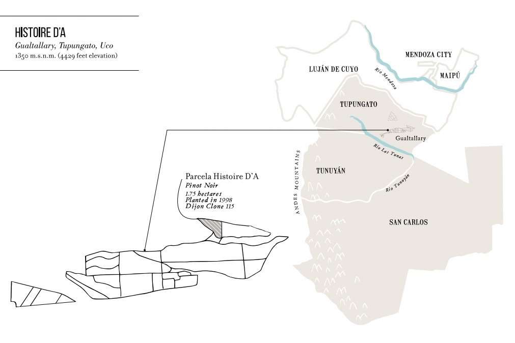 Domaine Nico Histoire D'A