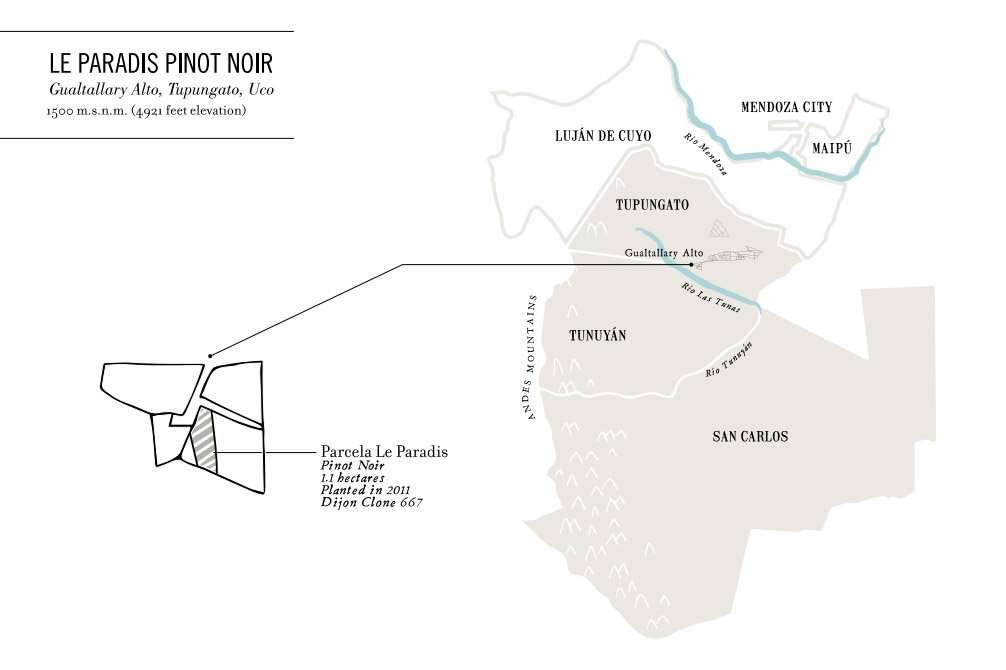 Domaine Nico Le Paradis