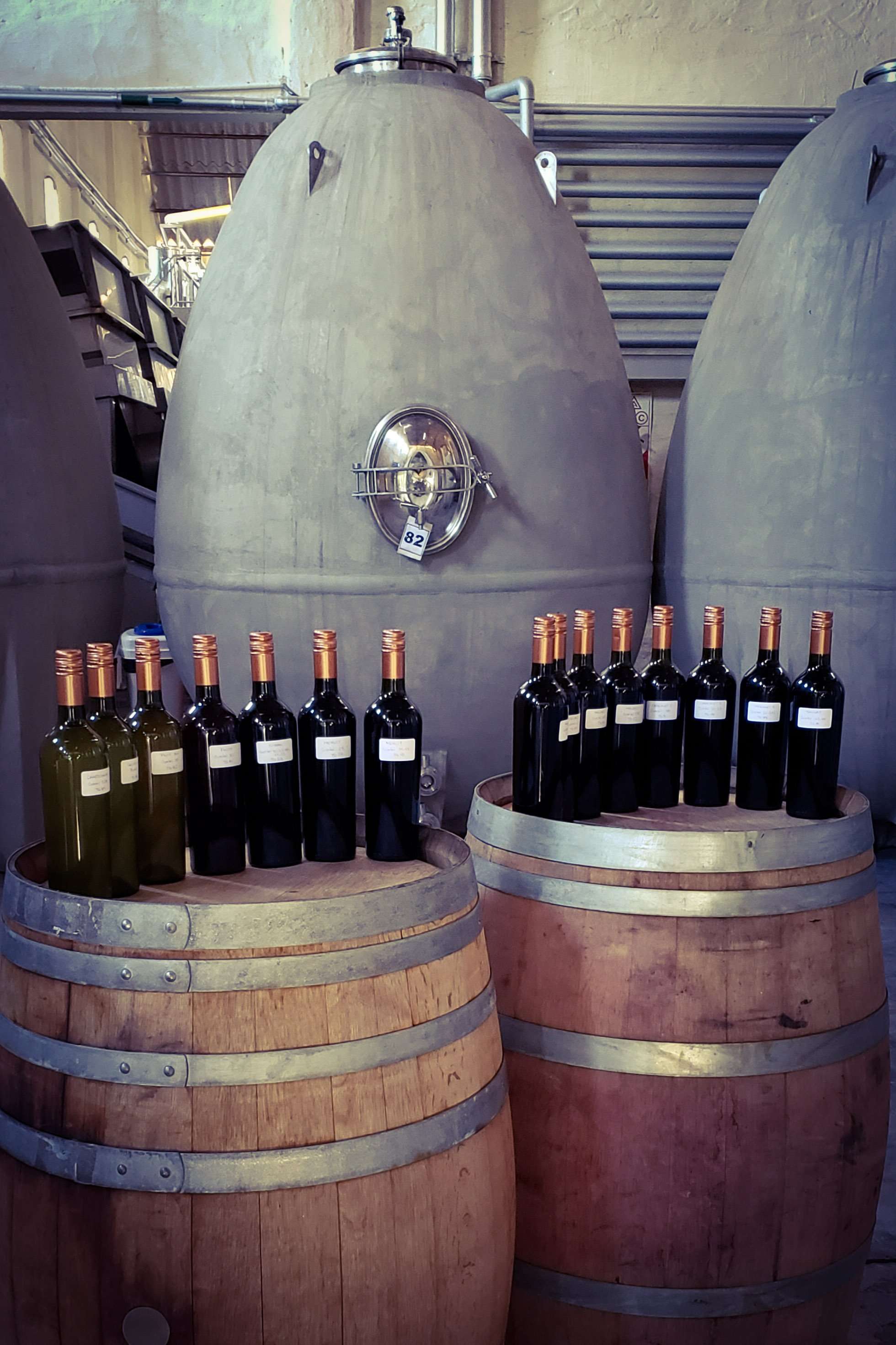 Degustación en Chañar Punco