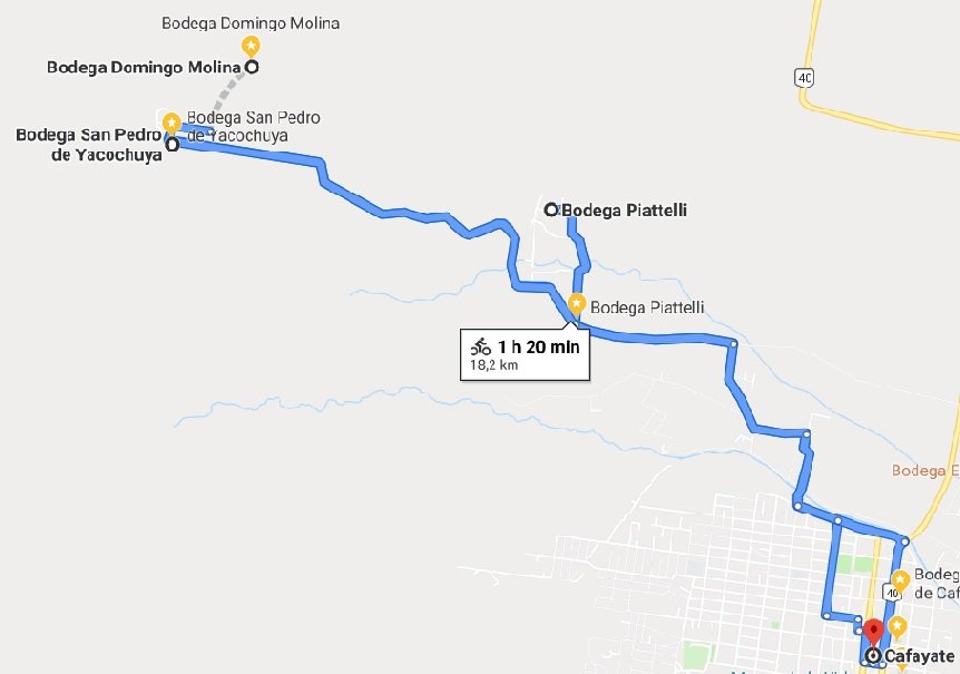 Cafayate en bicicleta 7