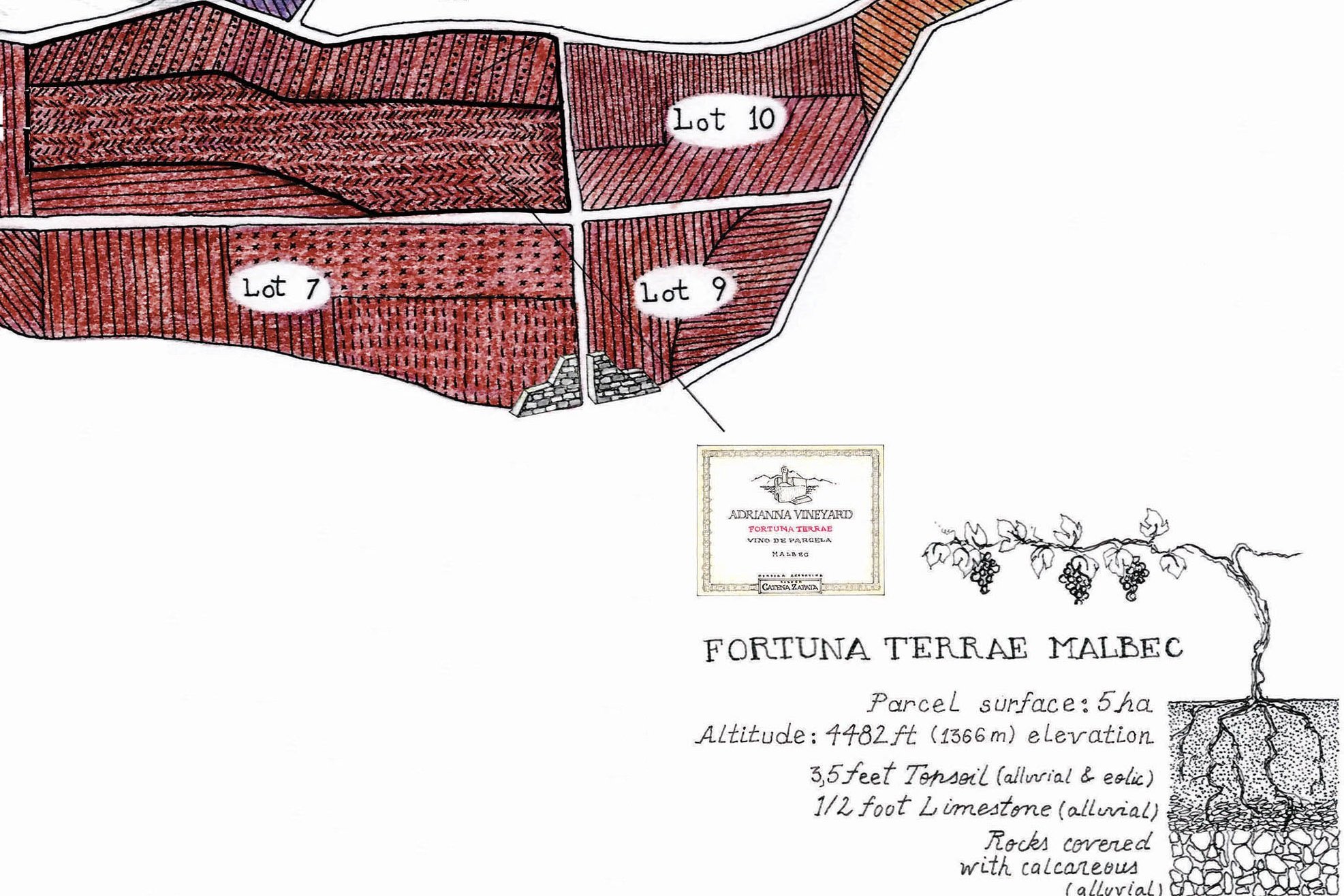 Adrianna Vineyard Fortuna Terrae