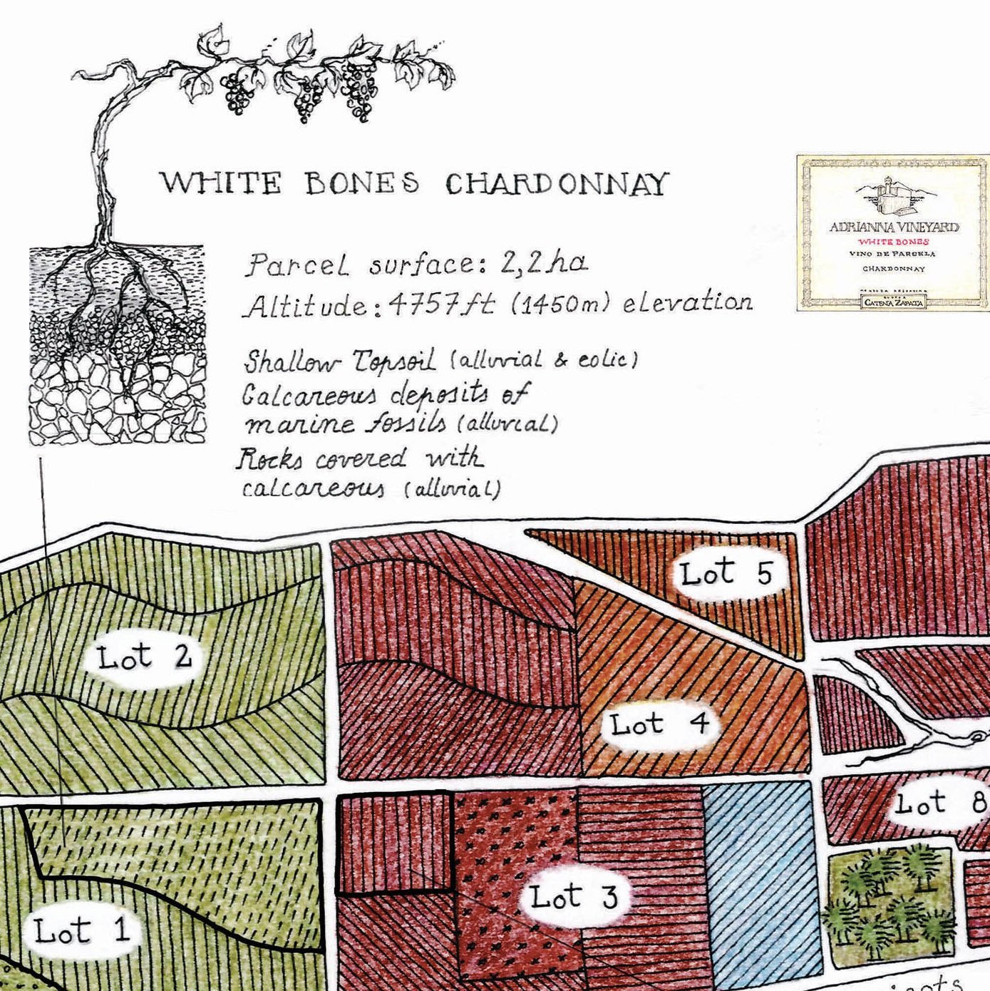 Adrianna Vineyard White Bones