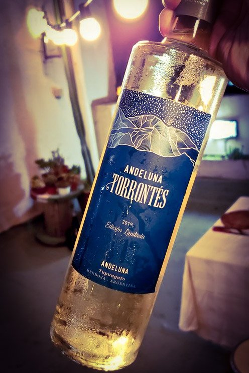 Andeluna Torrontés 2019