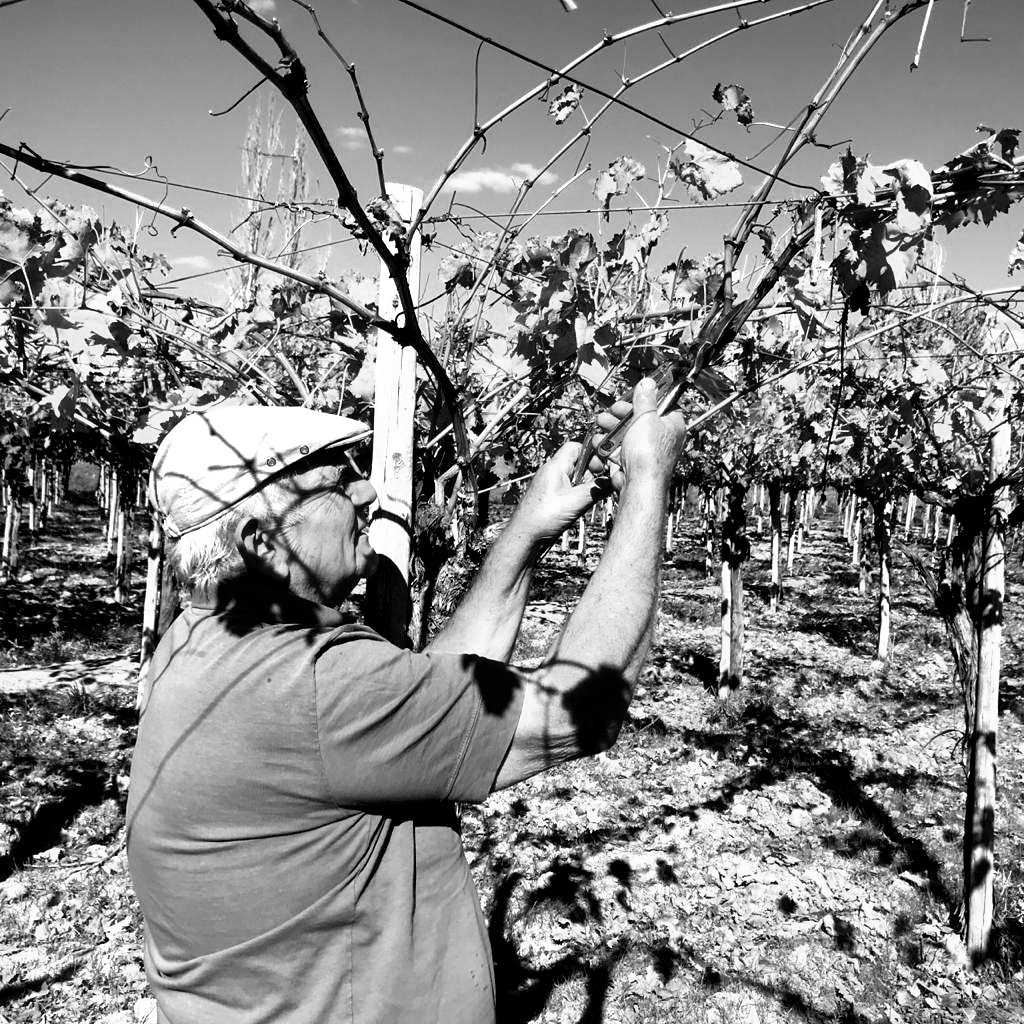 Don Cacho de las acequias