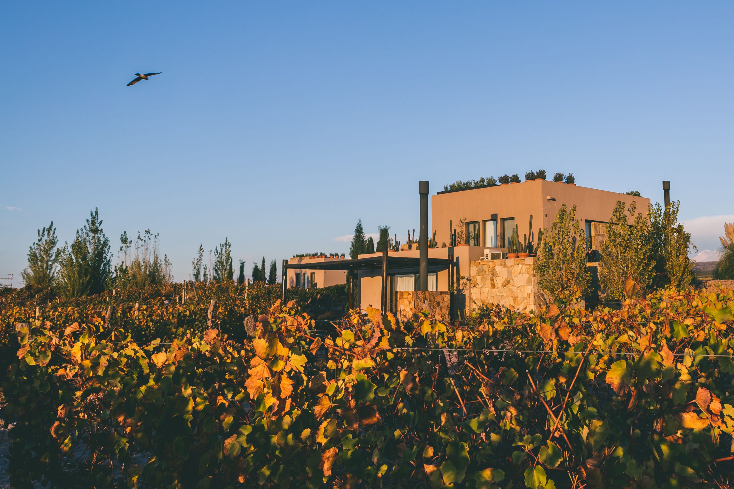 Fin de Semana del Amigo y Vacaciones de Invierno flexibles en Rosell Boher Lodge 2 Rosell Boher Lodge - Vacaciones de invierno