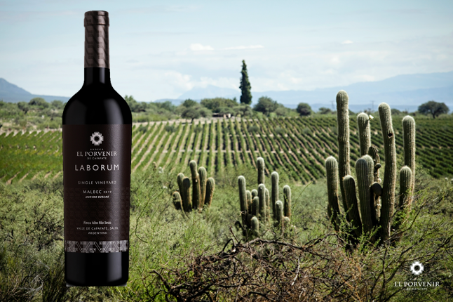 Laborum Nuevos Suelos - El Porvenir de Cafayate