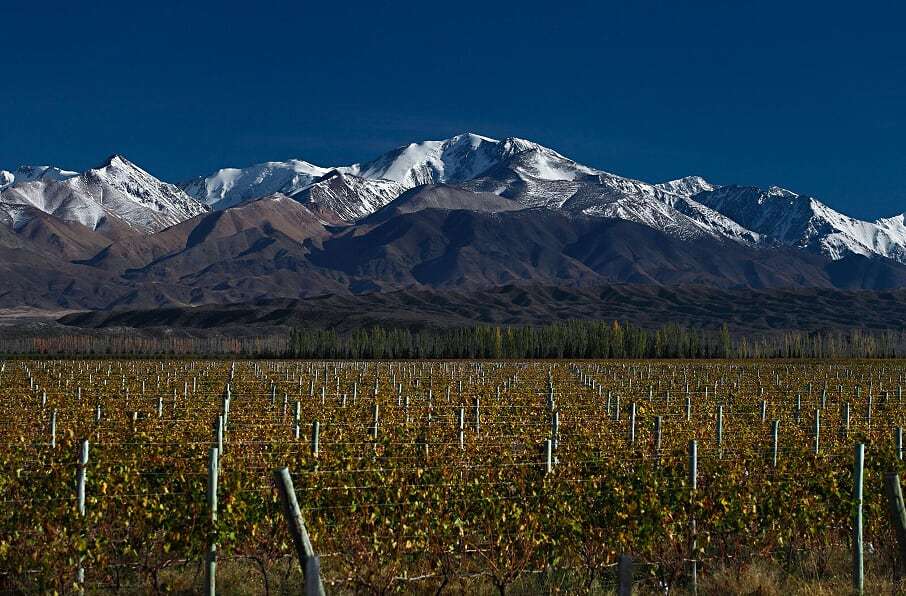 Wines of Argentina