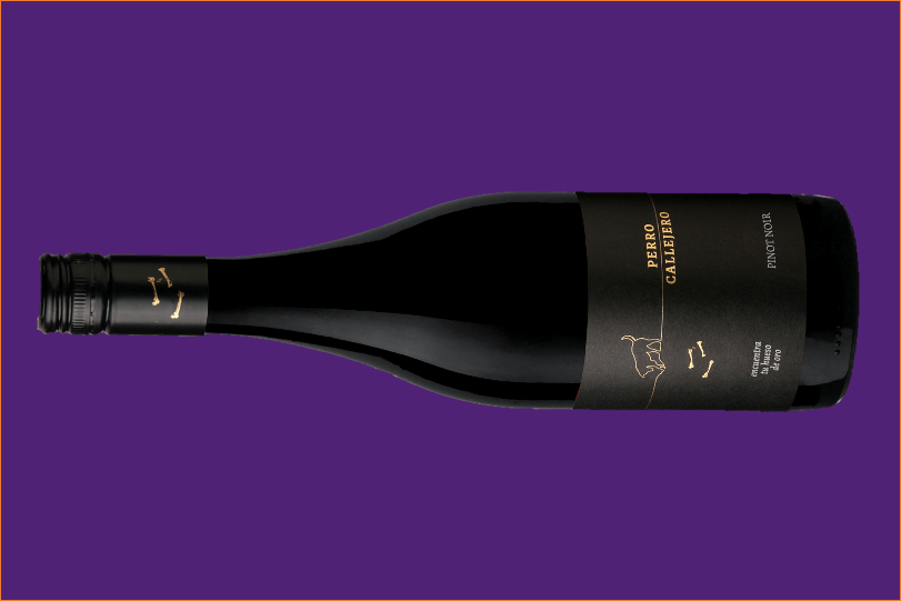 mosquita muerta perro callejero pinot noir 2019