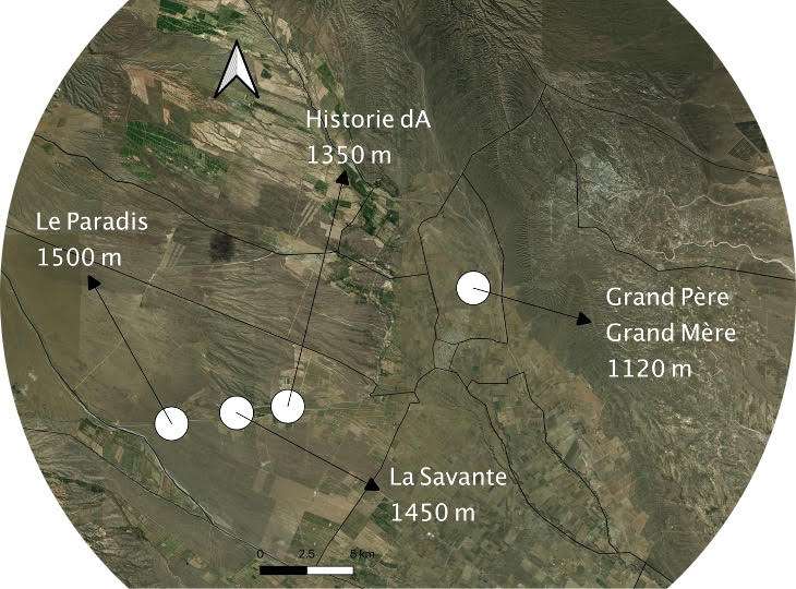 Domaine Nico cosecha 2018 - Parcelas