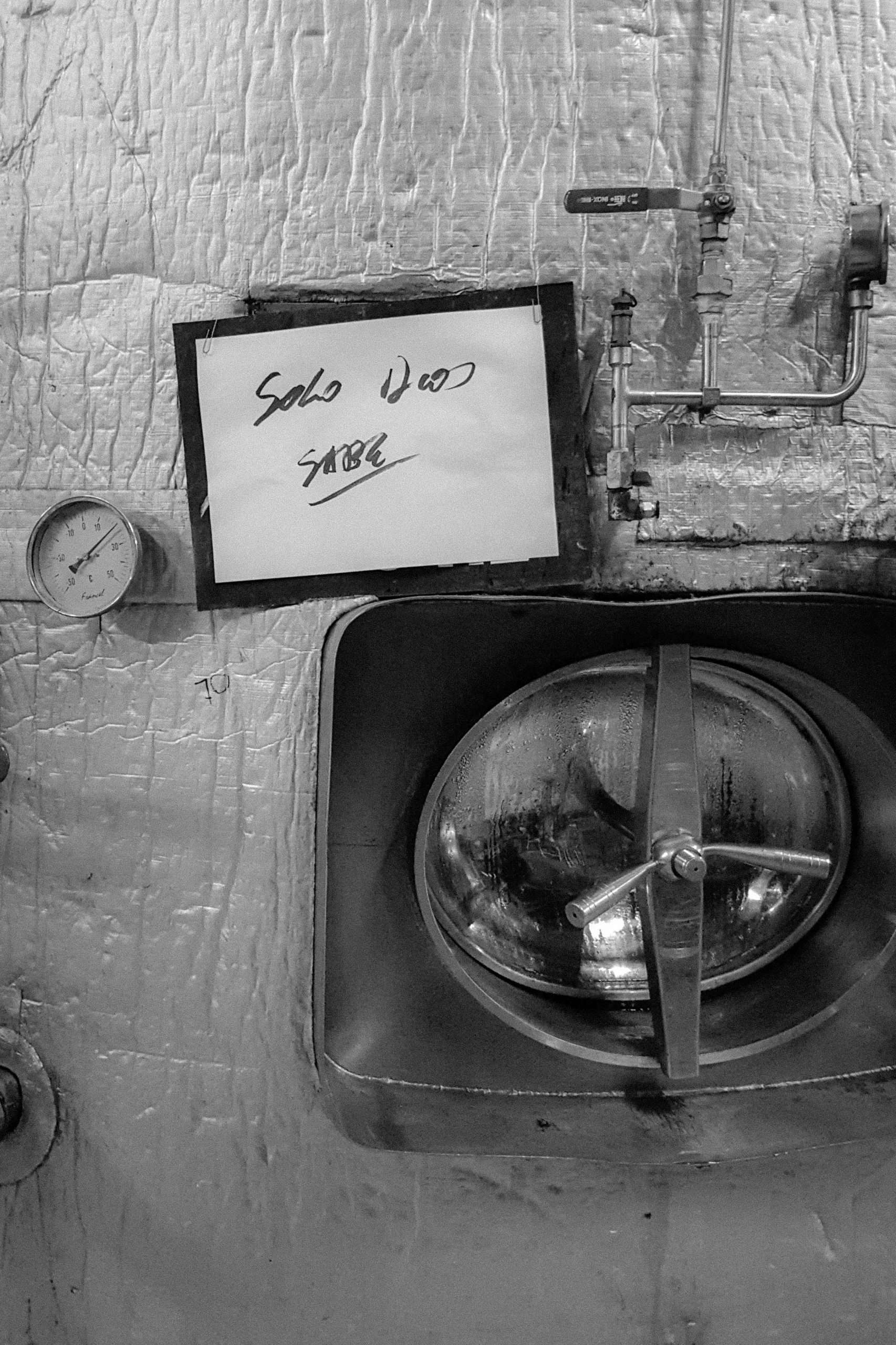 Solo Dios Sabe Pepe Reginato