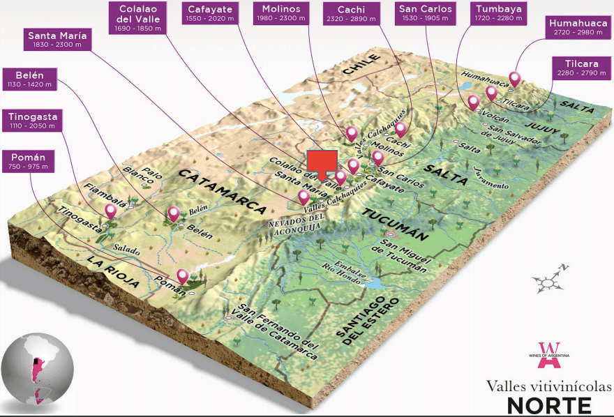 Altos La Ciénaga, el ADN del vino tucumano 2 Altos La Ciénaga - Valles Calchaquíes