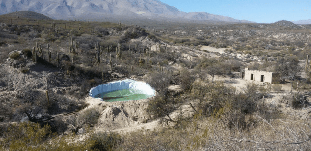 Altos La Ciénaga, el ADN del vino tucumano 5 Altos La Ciénaga