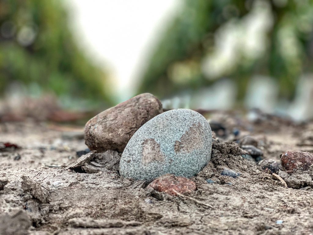 El Gran Enemigo íntimo 12 Gran Enemigo íntimo