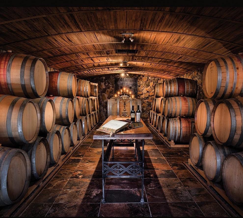 El Gran Enemigo íntimo 11 Casa Vigil - Bodega