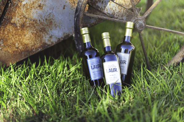 Olivícola Laur y Acetaia Millán: visita obligada en Mendoza durante Semana Santa