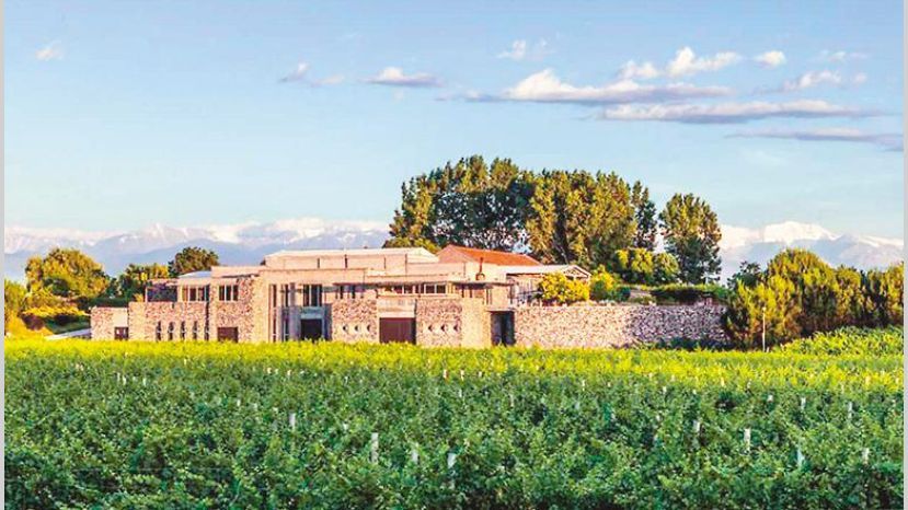 Distinción internacional para Bianchi Particular Malbec 2018