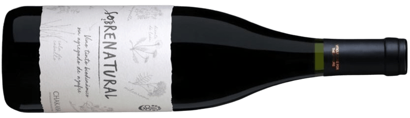 Día del Malbec: la profundidad y diversidad de nuestro varietal estrella 5 Día del Malbec Vinventions