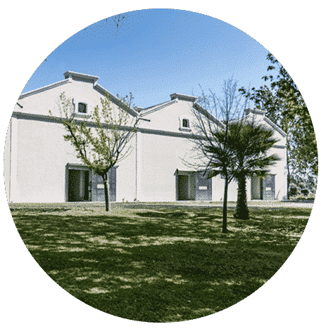 Casir Dos Santos y el primer vino con crianza en lenga 1