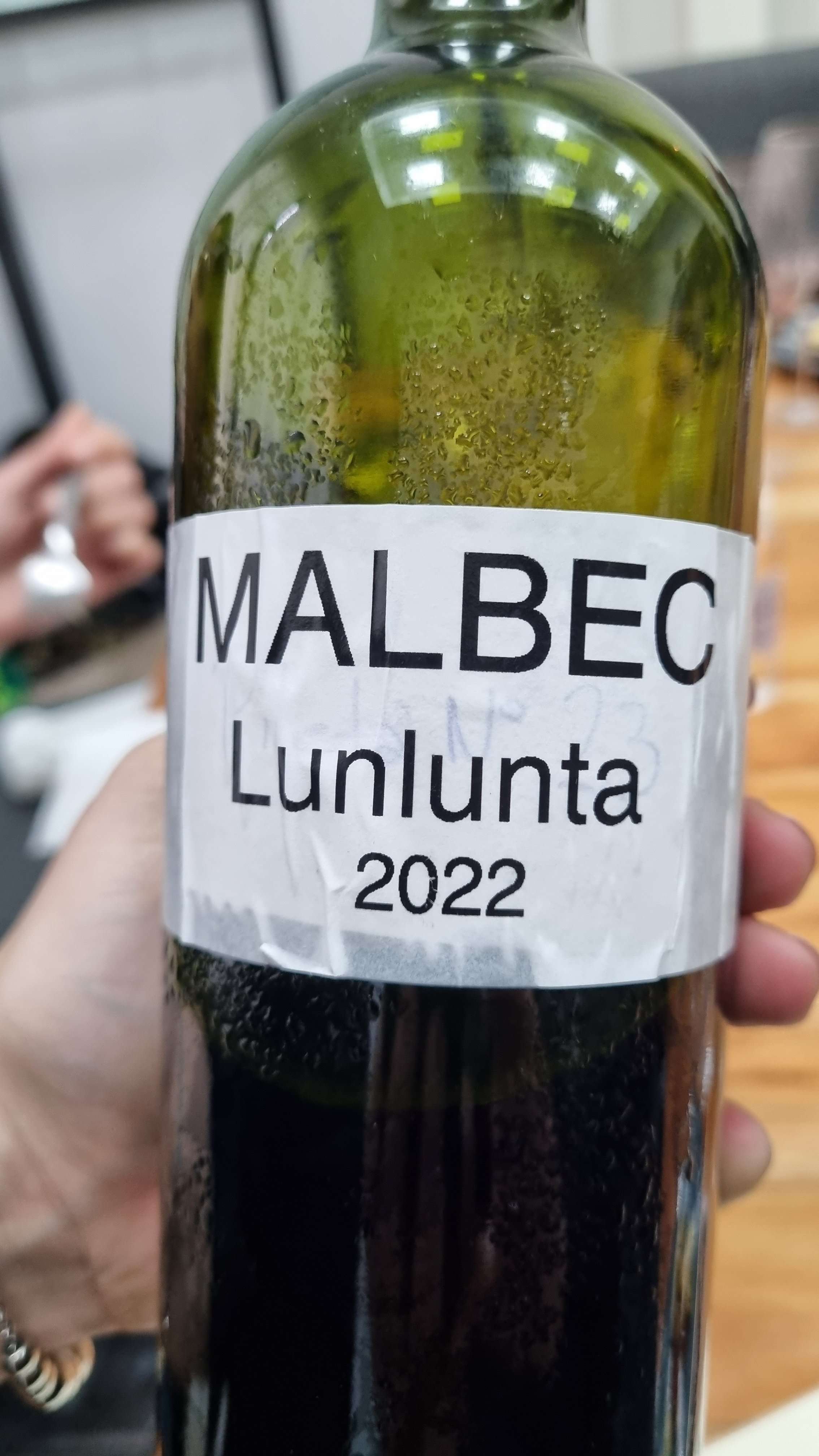 Casir dos Santos Malbec Lunlunta 2022