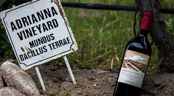 Alejandro Vigil Catena Zapata 100 puntos Adrianna Vineyard Mundus Bacillus Terrae 2019