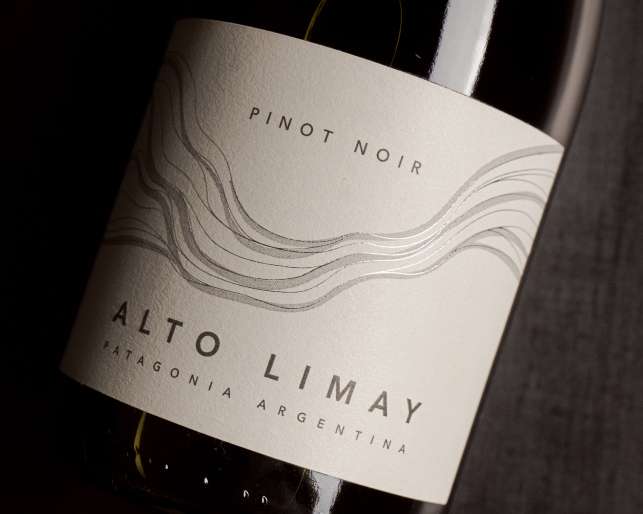 Bodega Familia Schroeder es nuevamente reconocida por sus Pinot Noir