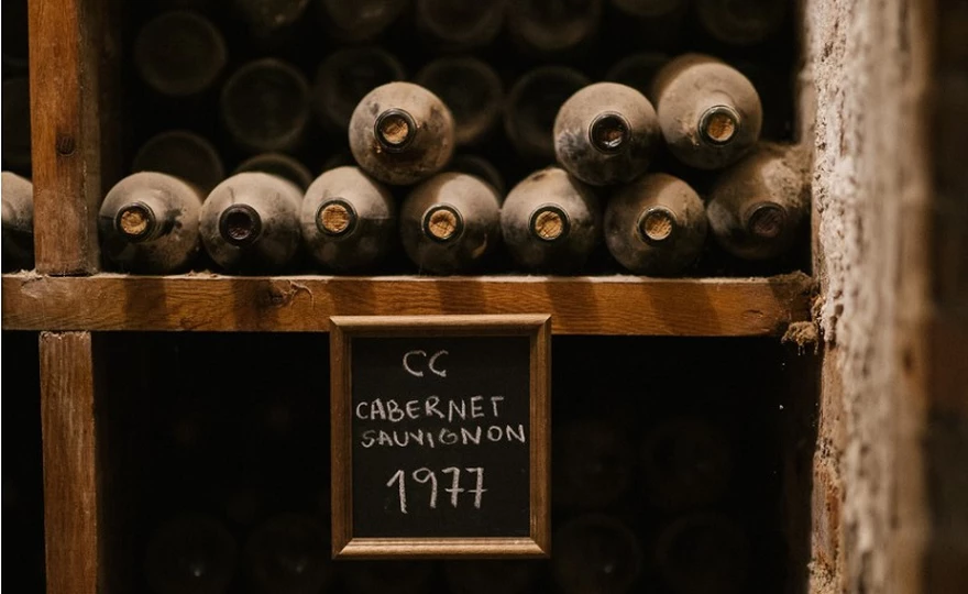 Finca Flichman propone vivir una experiencia vitivinícola cultural en Barrancas 2 Finca Flichman