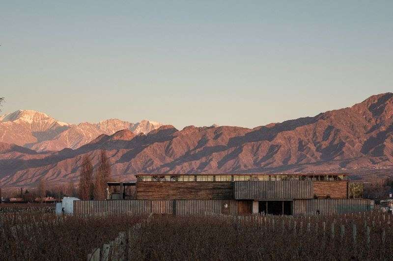 Bodega MAAL Wines fue premiada en la categoría arquitectura y paisajes en los premios Best of Mendoza’s Wine Tourism 2023