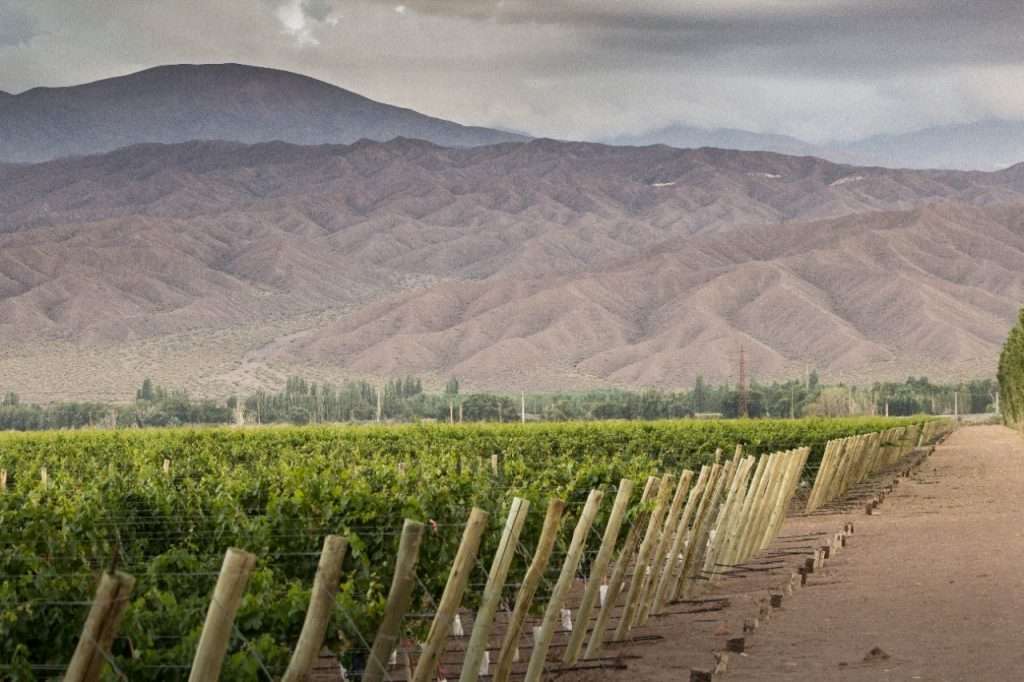 CUUNA - Valle de Calingasta