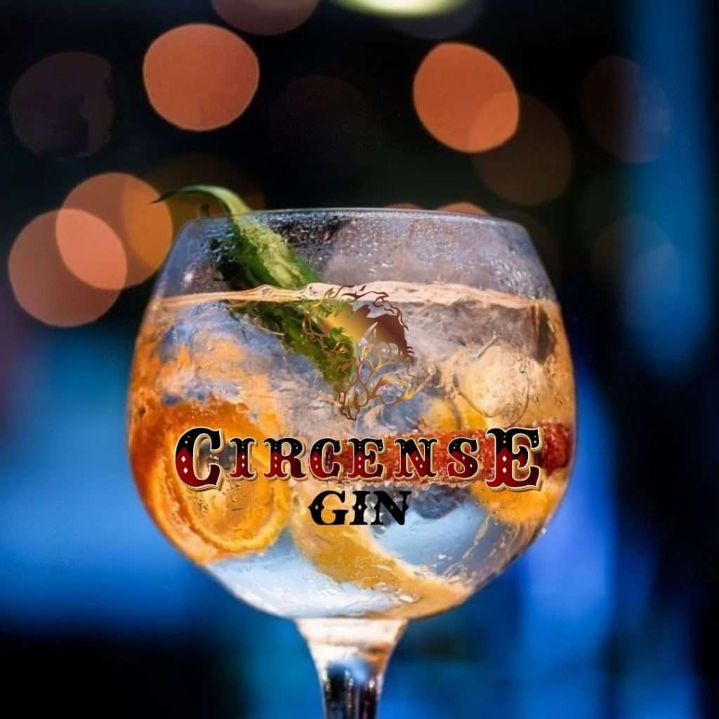 Circense Gin - Grupo Giangi