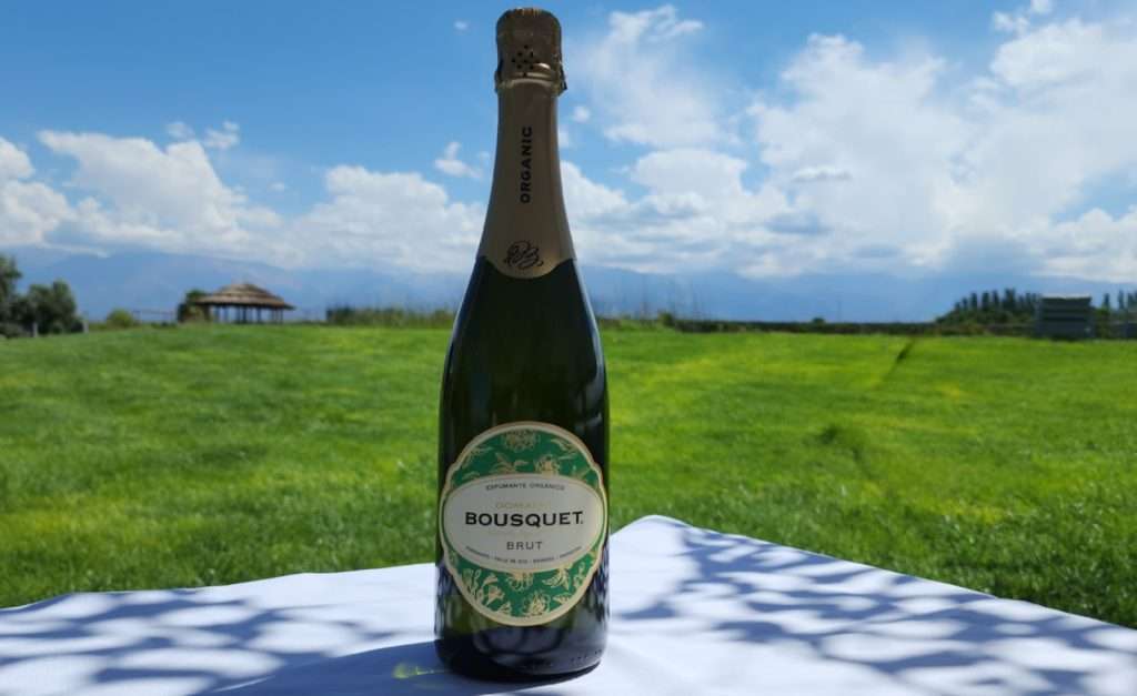 Domaine Bousquet San Valentin