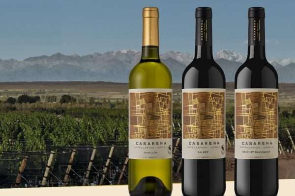 Casarena Bodega y Viñedos apuesta a su línea Appellation Agrelo, la expresión de un terroir único en la Argentina