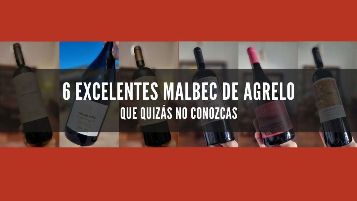 6 excelentes Malbec de Agrelo que quizás no conozcas