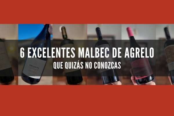 6 excelentes Malbec de Agrelo que quizás no conozcas