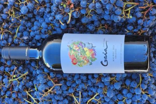 GAIA CONCIENCIA, una invitación a ser protagonistas en el cuidado de la Tierra