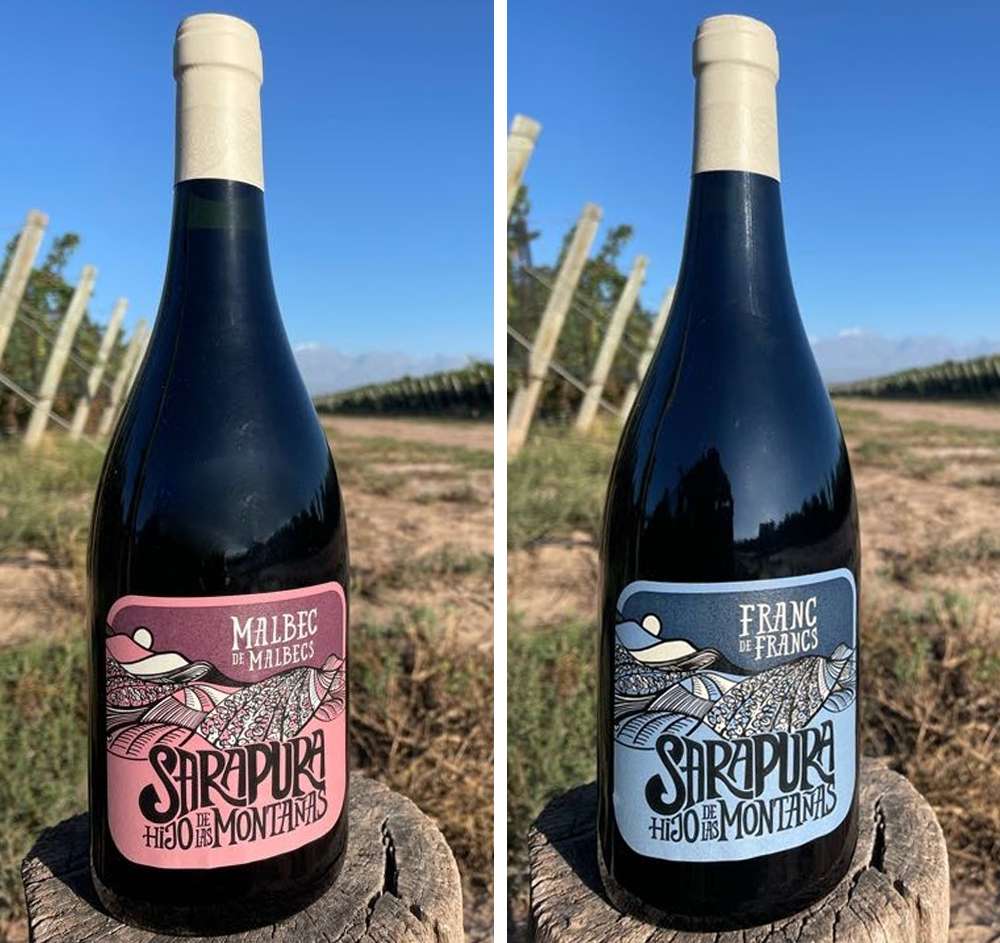 Sarapura Wines: el proyecto de tres amigos e ingenieros agrónomos en busca de viñedos únicos 4 Sarapura