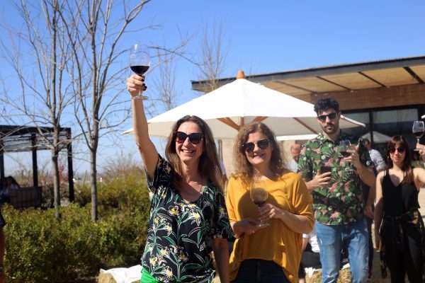 Vuelve Solo Contigo Wine Fest: Vinos, música y arte en el Valle de Uco
