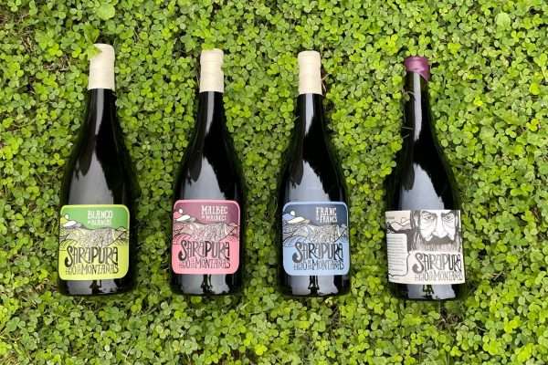 Sarapura Wines: el proyecto de tres amigos e ingenieros agrónomos en busca de viñedos únicos