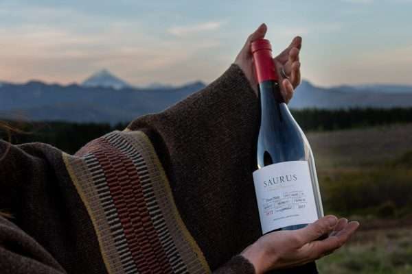 Familia Schroeder es Pinot Noir y en agosto celebra a su cepa emblemática