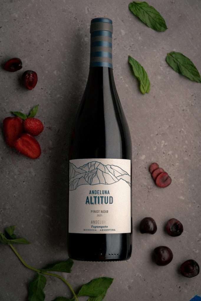 Andeluna Altitud Pinot Noir 2021